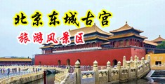 国产真人实拍破处网站中国北京-东城古宫旅游风景区